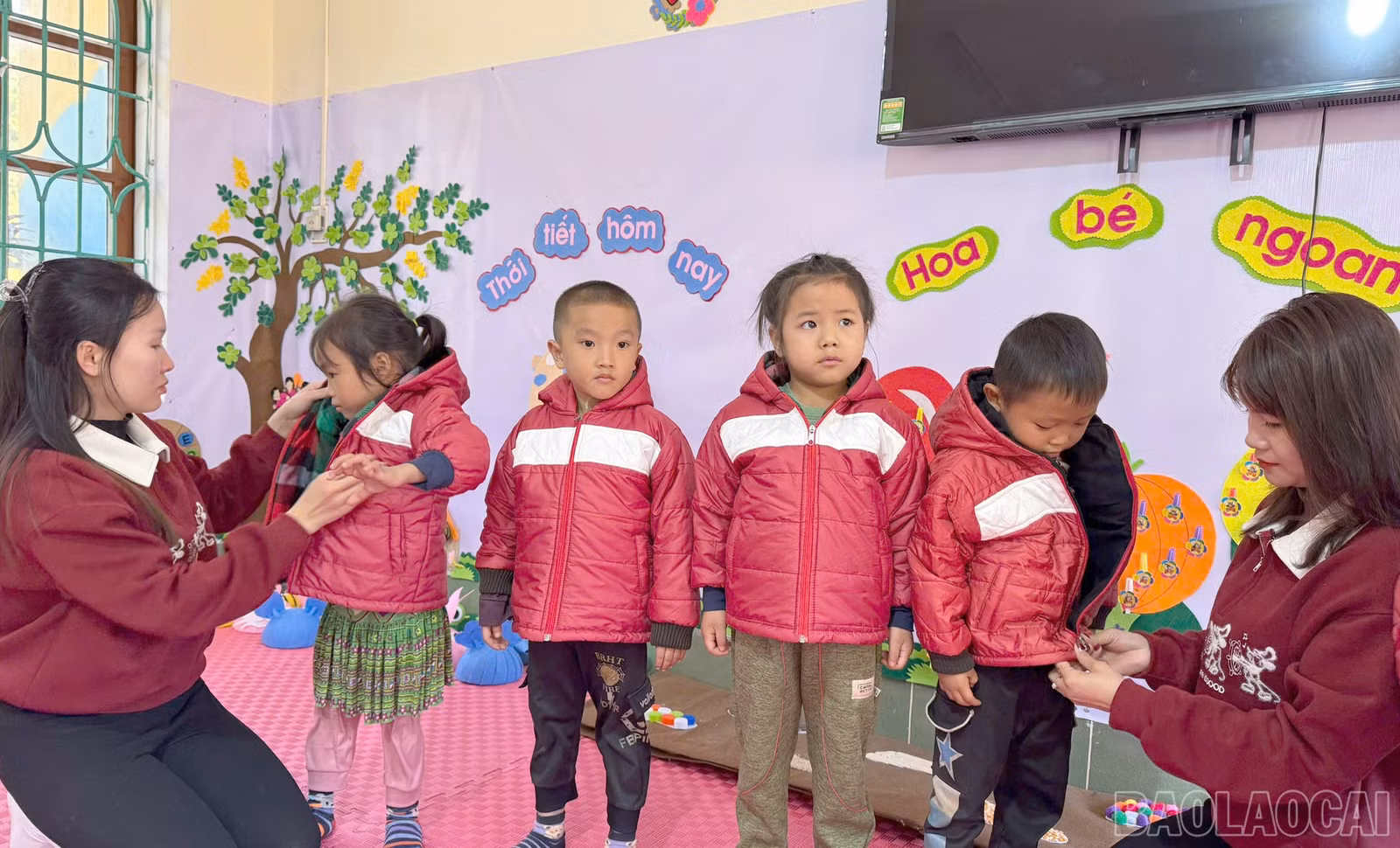 baolaocai-br_z7270632083919-3d29171947998ef5c7424e5a380b0bcb.jpg