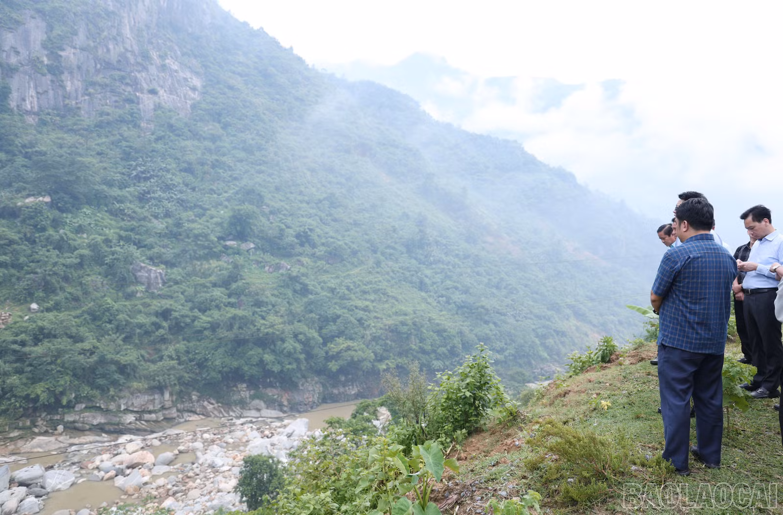 baolaocai-br_img-1089.jpg