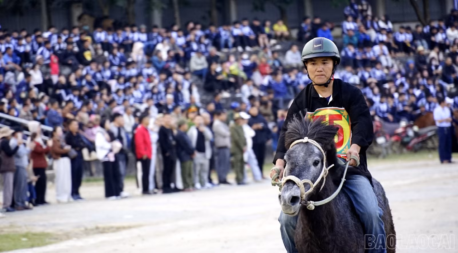 baolaocai-br_dsc5163.jpg