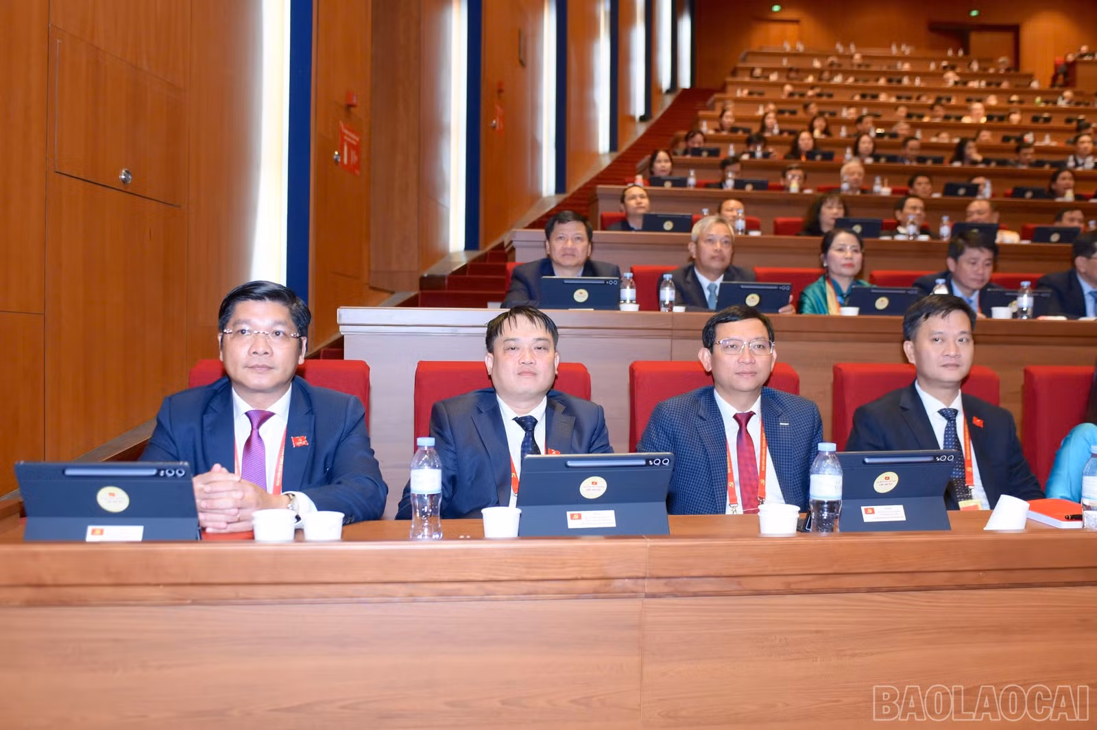 baolaocai-br_z7457347325066-9a3a3cb272611137cf5ddd82870b5798.jpg