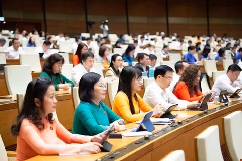 Đại biểu Quốc hội dự kỳ họp thứ mười.