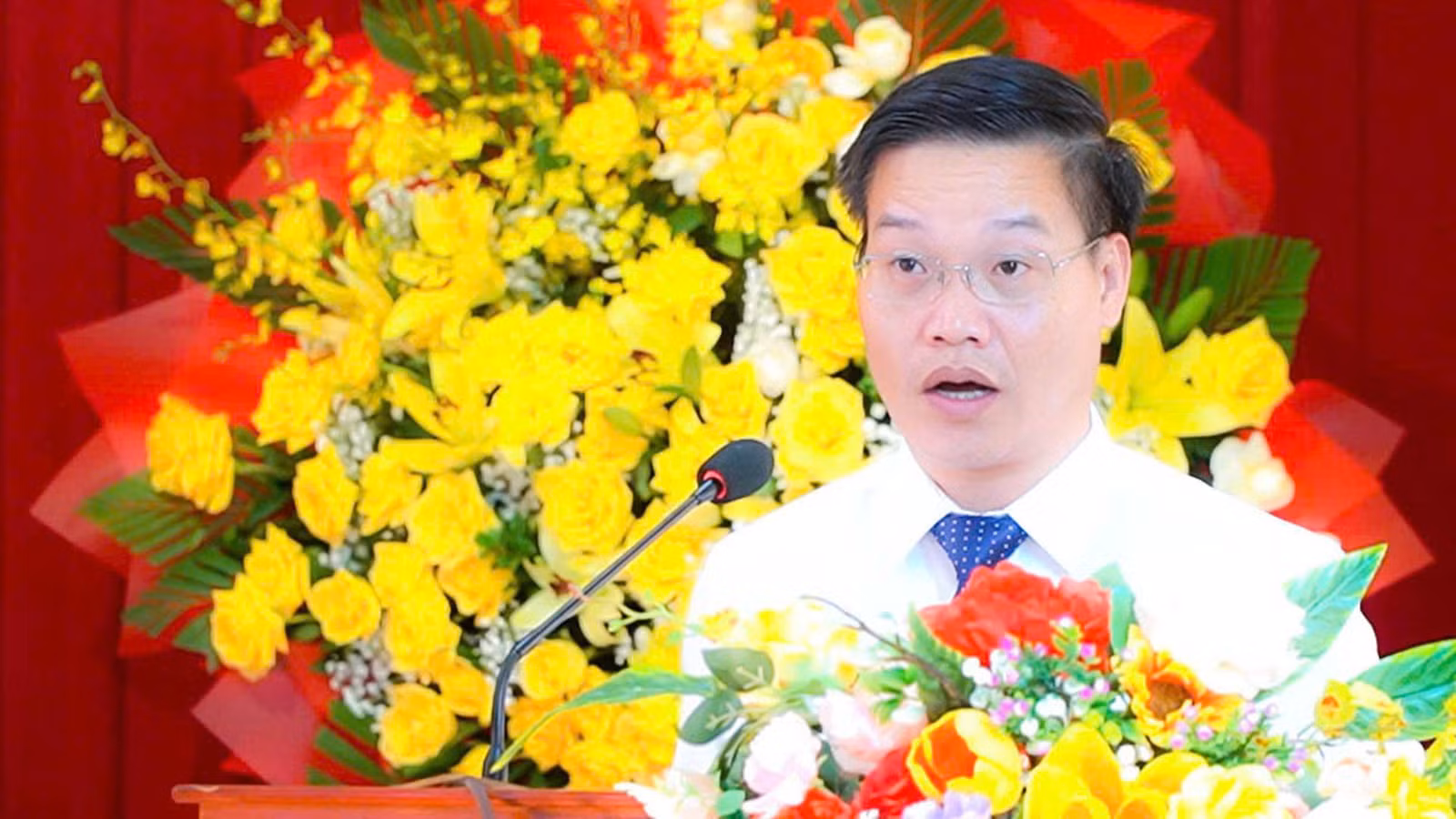 12-8-mo-vang.jpg