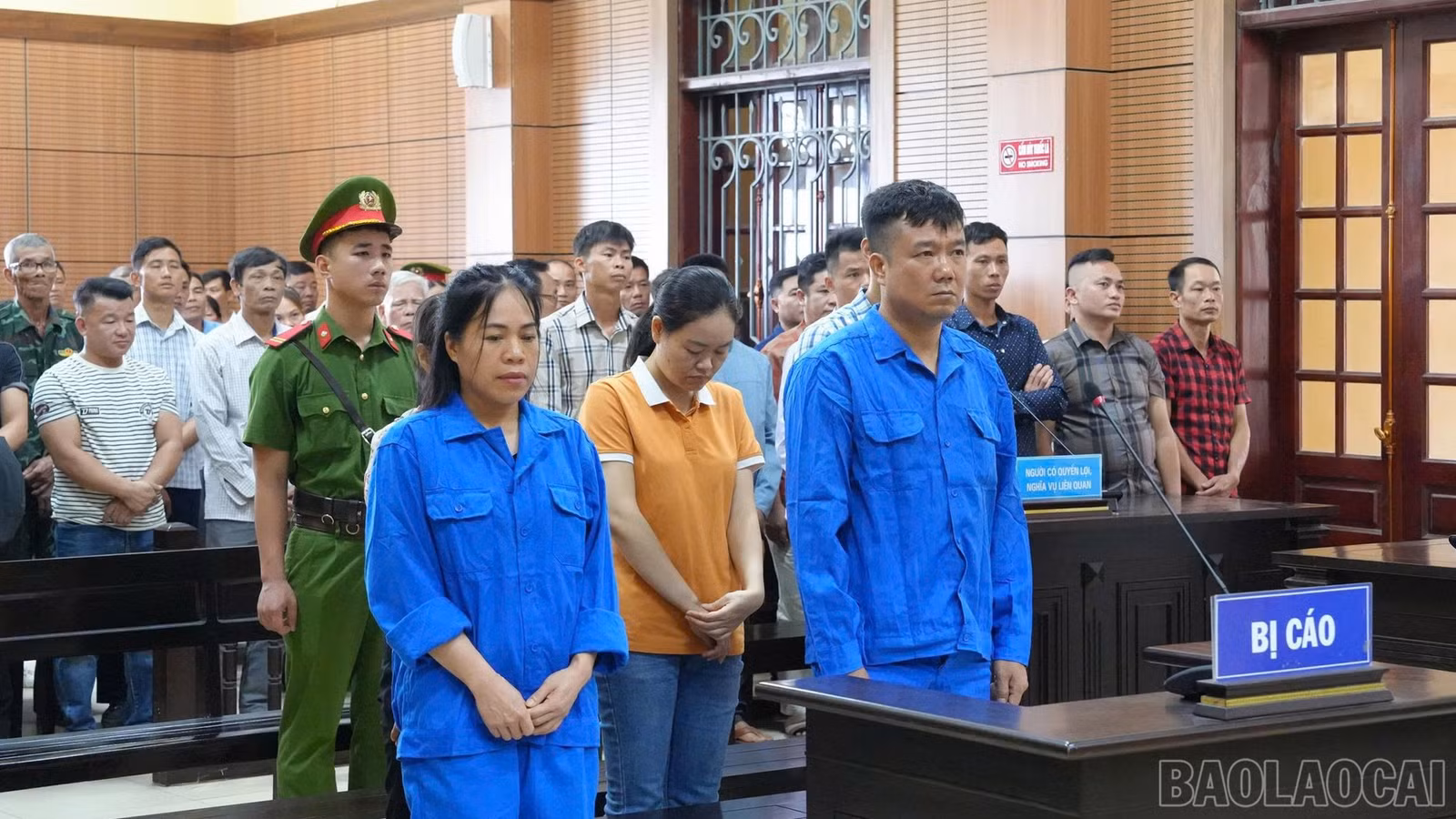 baolaocai-br_anh2.jpg