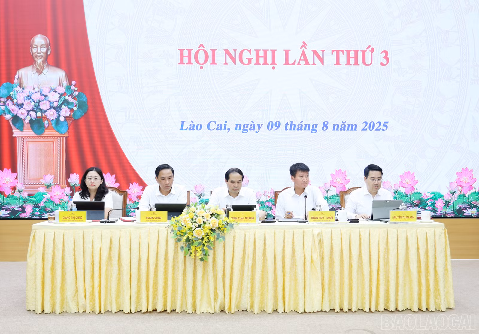 baolaocai-br_img-8666.jpg
