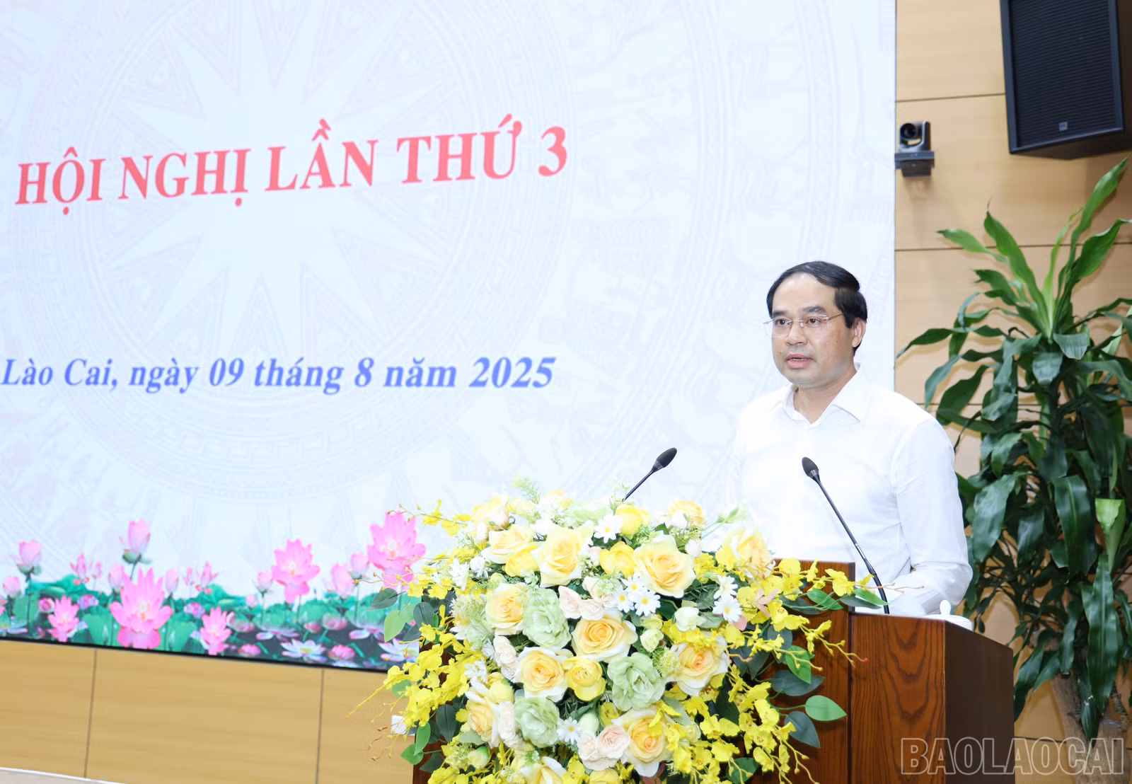 baolaocai-br_img-8777.jpg
