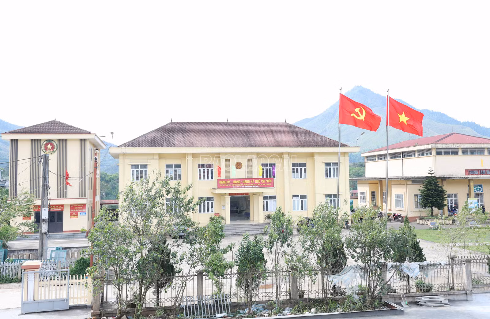 baolaocai-c_3999.jpg