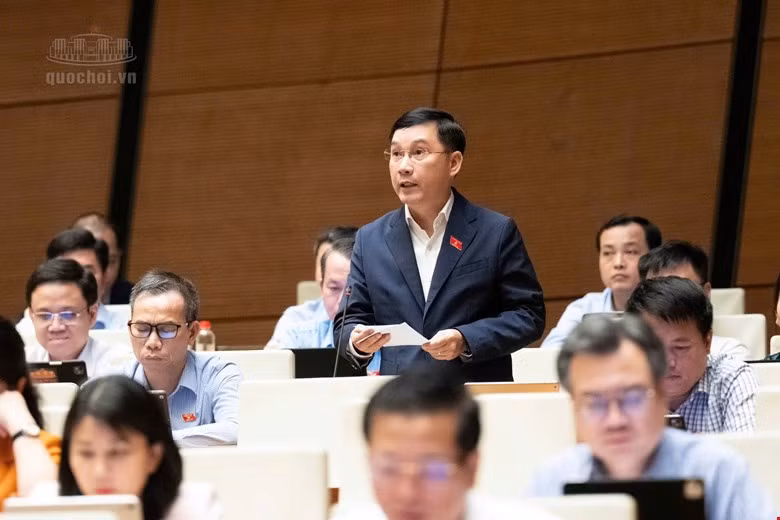 Đại biểu Lê Hoàng Anh (đoàn Gia Lai)