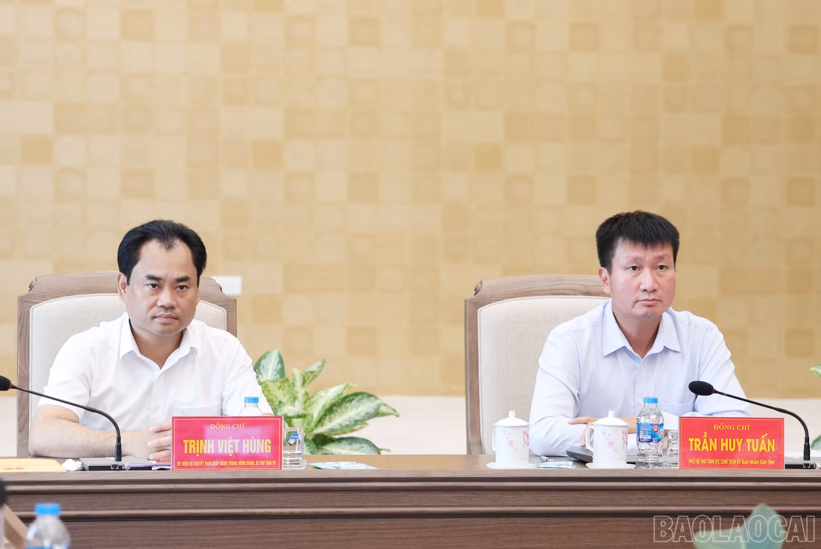 baolaocai-br_img-4510.jpg