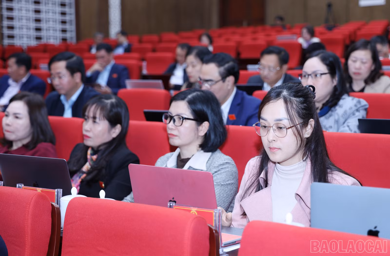 baolaocai-br_2950.jpg