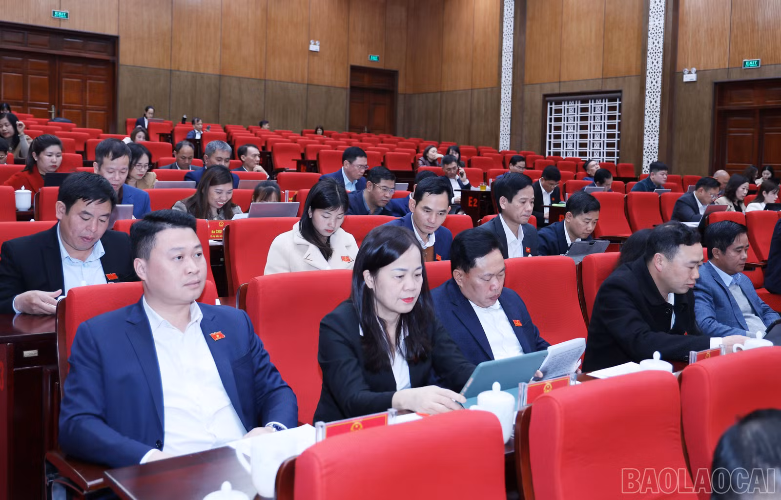 baolaocai-br_2869.jpg