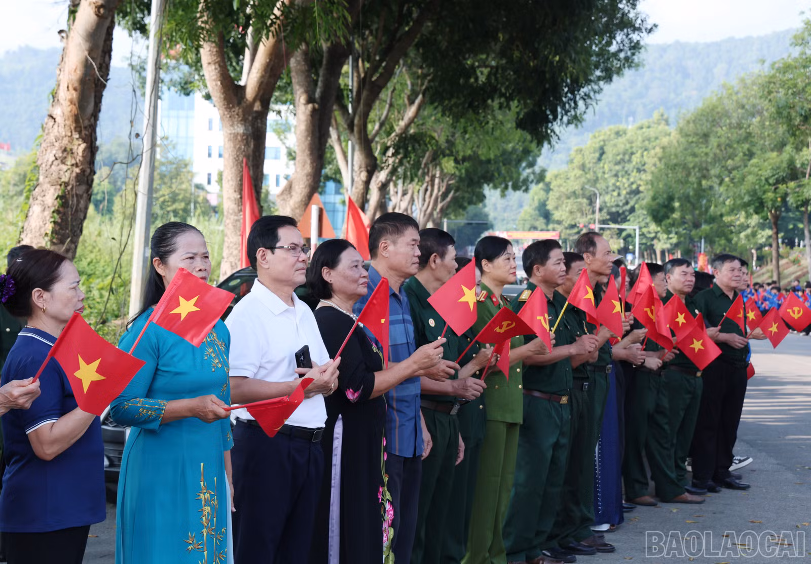 baolaocai-br_img-2237.jpg