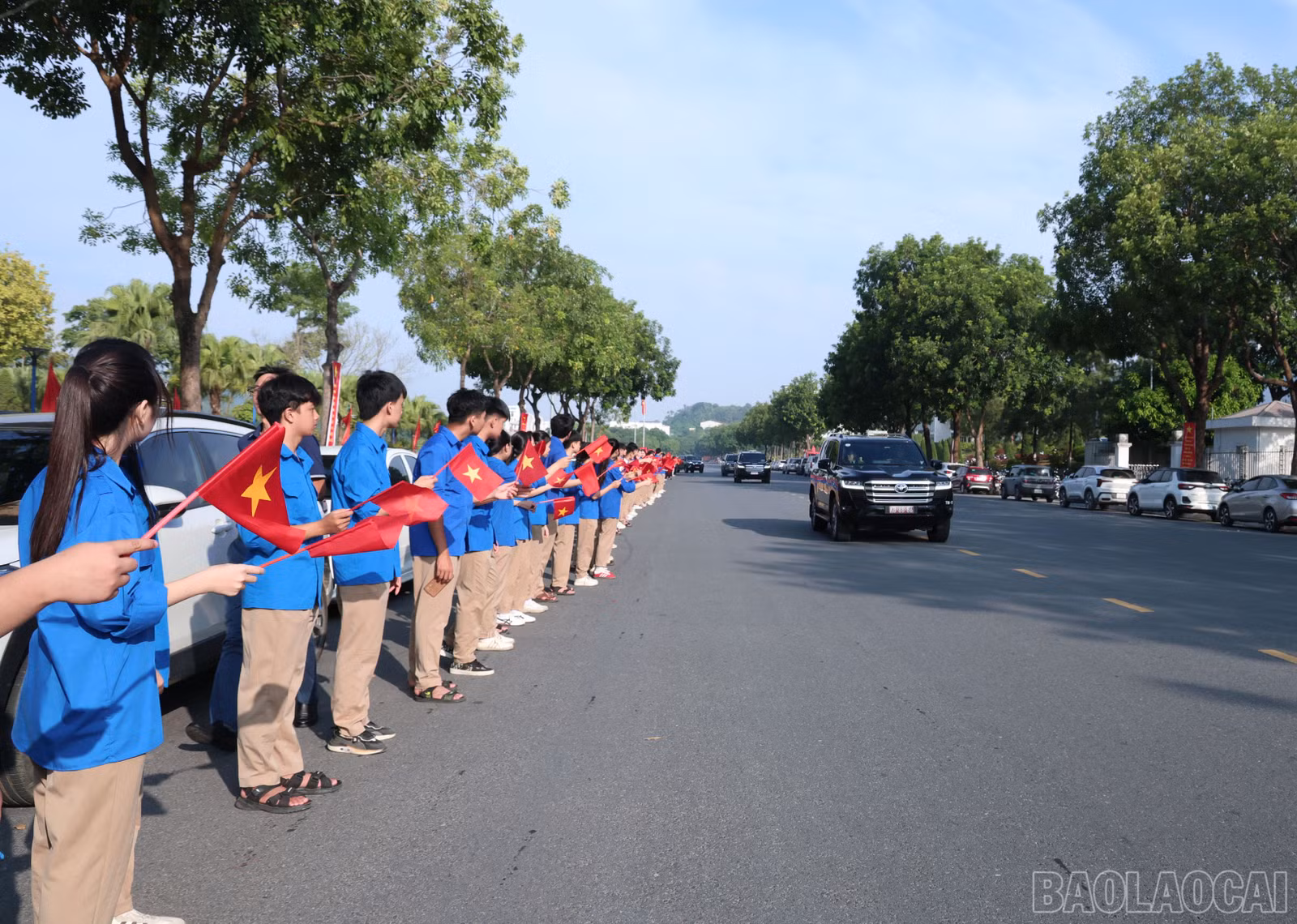 baolaocai-br_img-2226.jpg