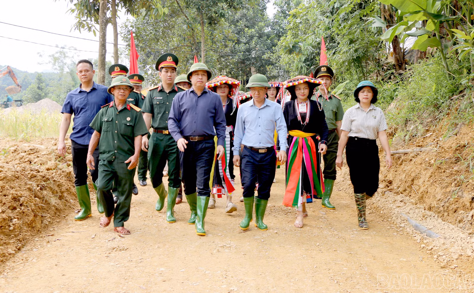 baolaocai-br_333.jpg