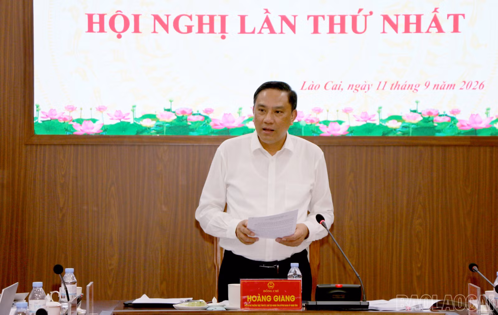 baolaocai-br_img-8391.jpg