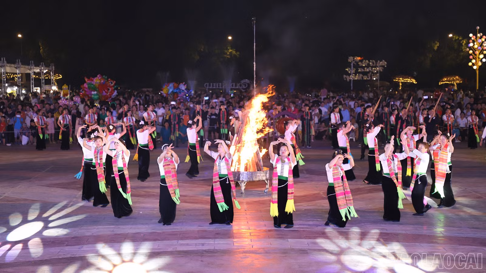 baolaocai-br_img-0038.jpg