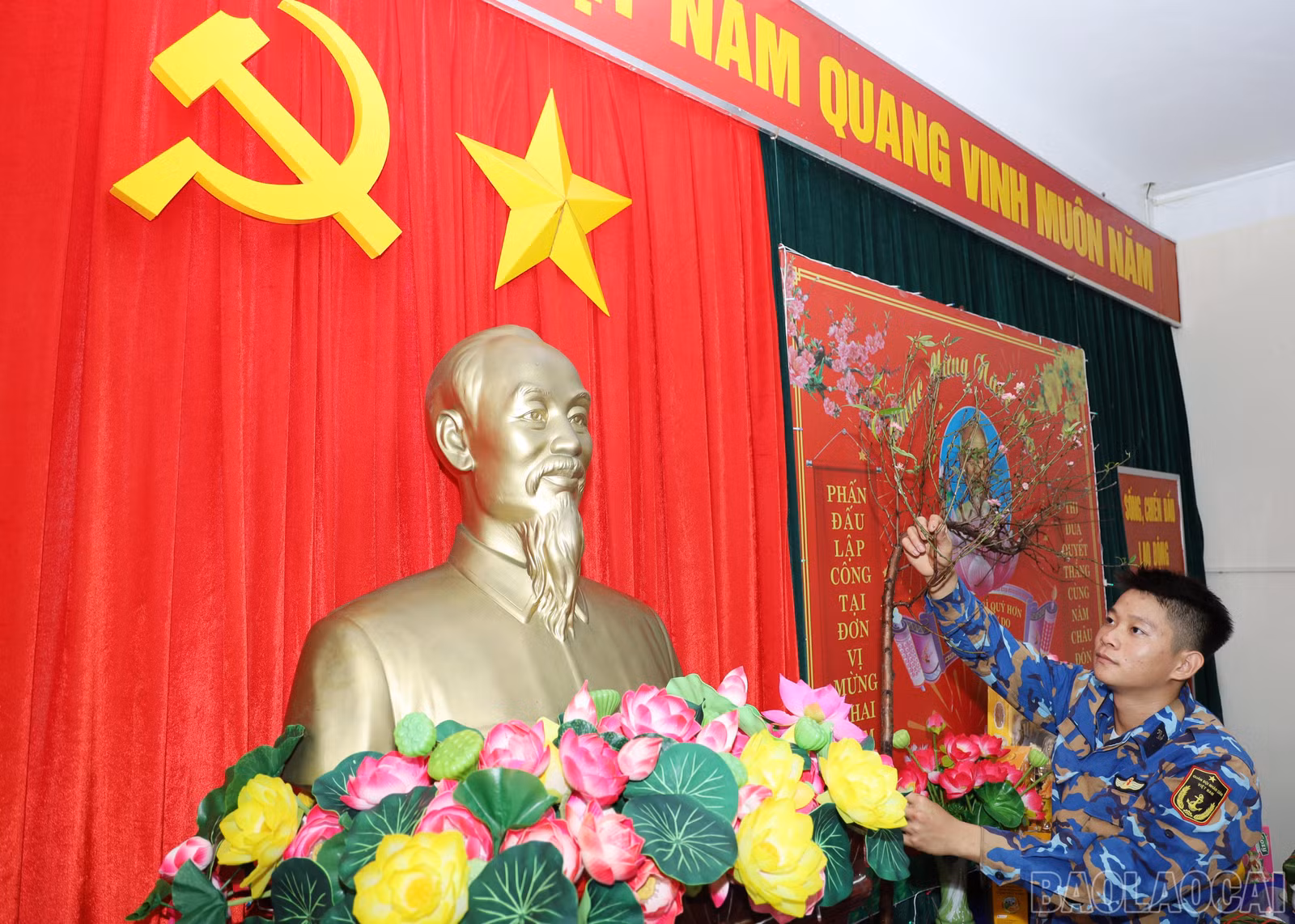 baolaocai-br_ab.jpg