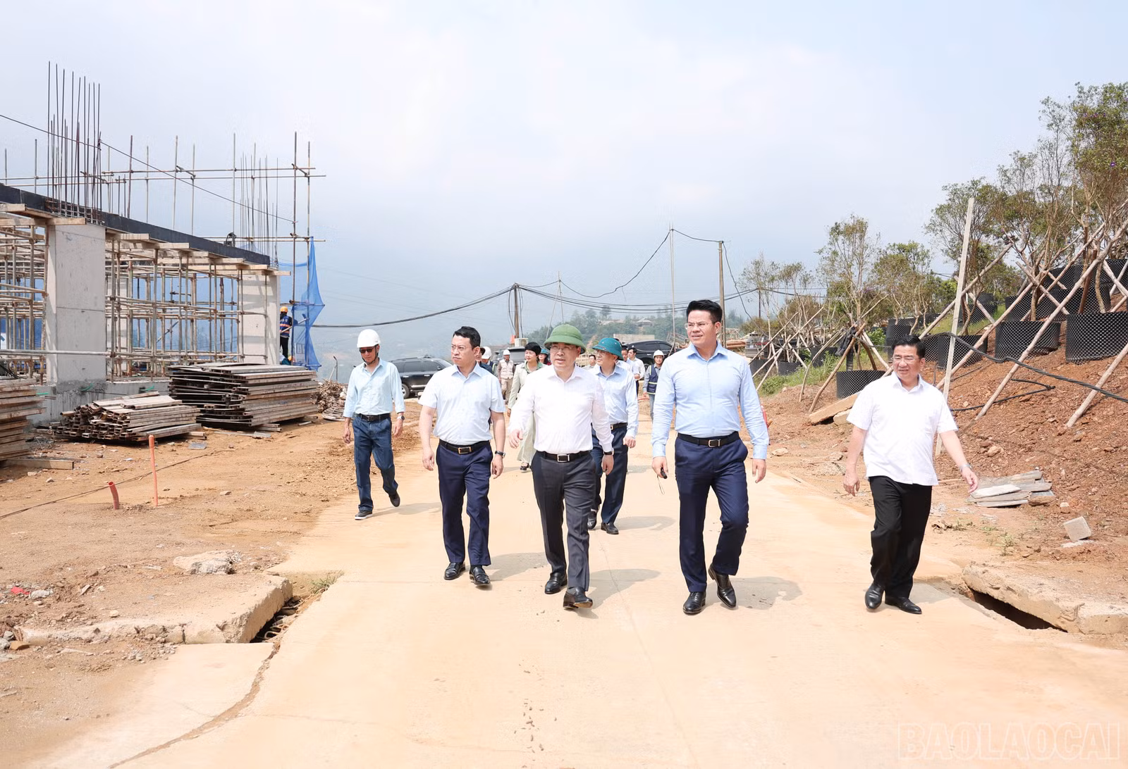 baolaocai-br_img-2434.jpg