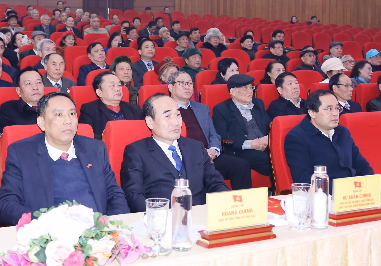 baolaocai-br_8473.jpg