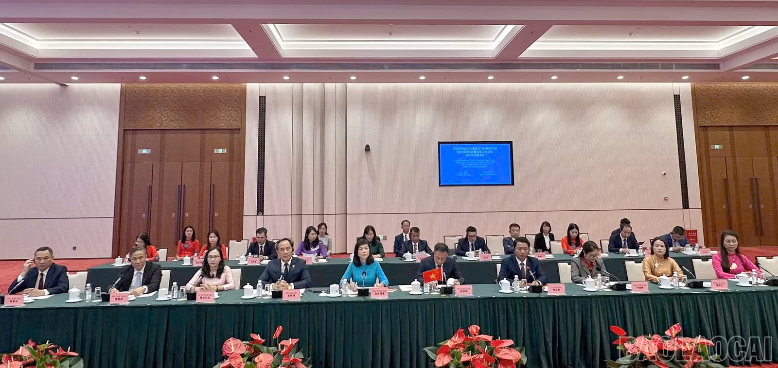 baolaocai-br_1792053952791-3168813521150125618-3168813521150125618-6df95c3271d4f72826e42378c408703d.jpg