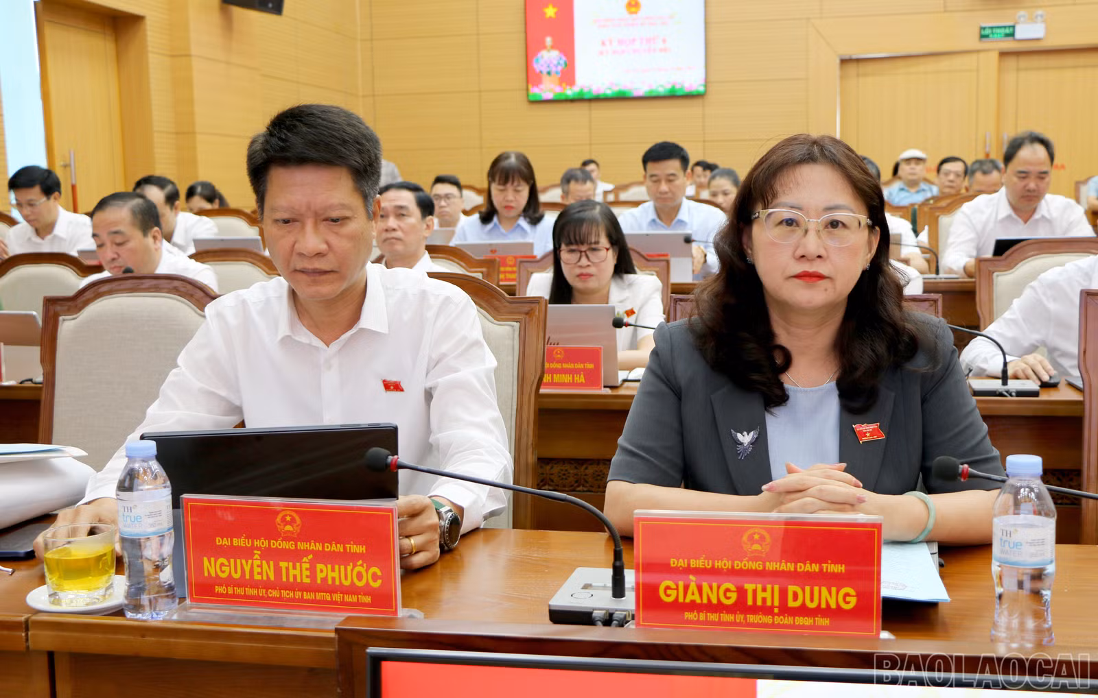 baolaocai-br_img-0306.jpg
