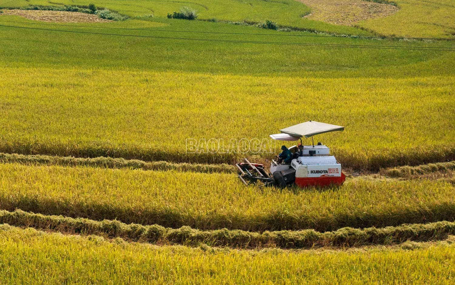 dji-0718-7264-3418.jpg