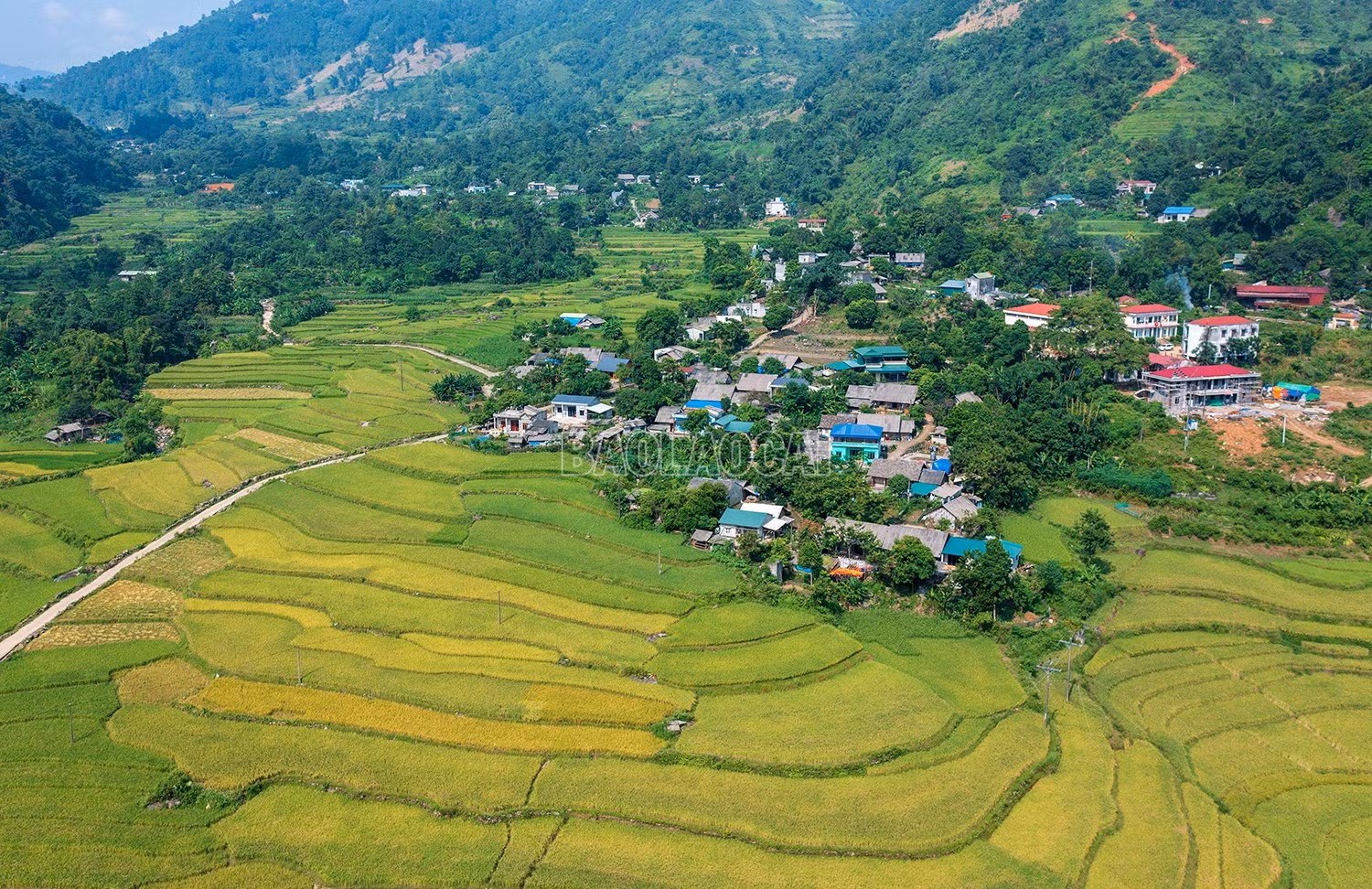 dji-0706-533-6265.jpg