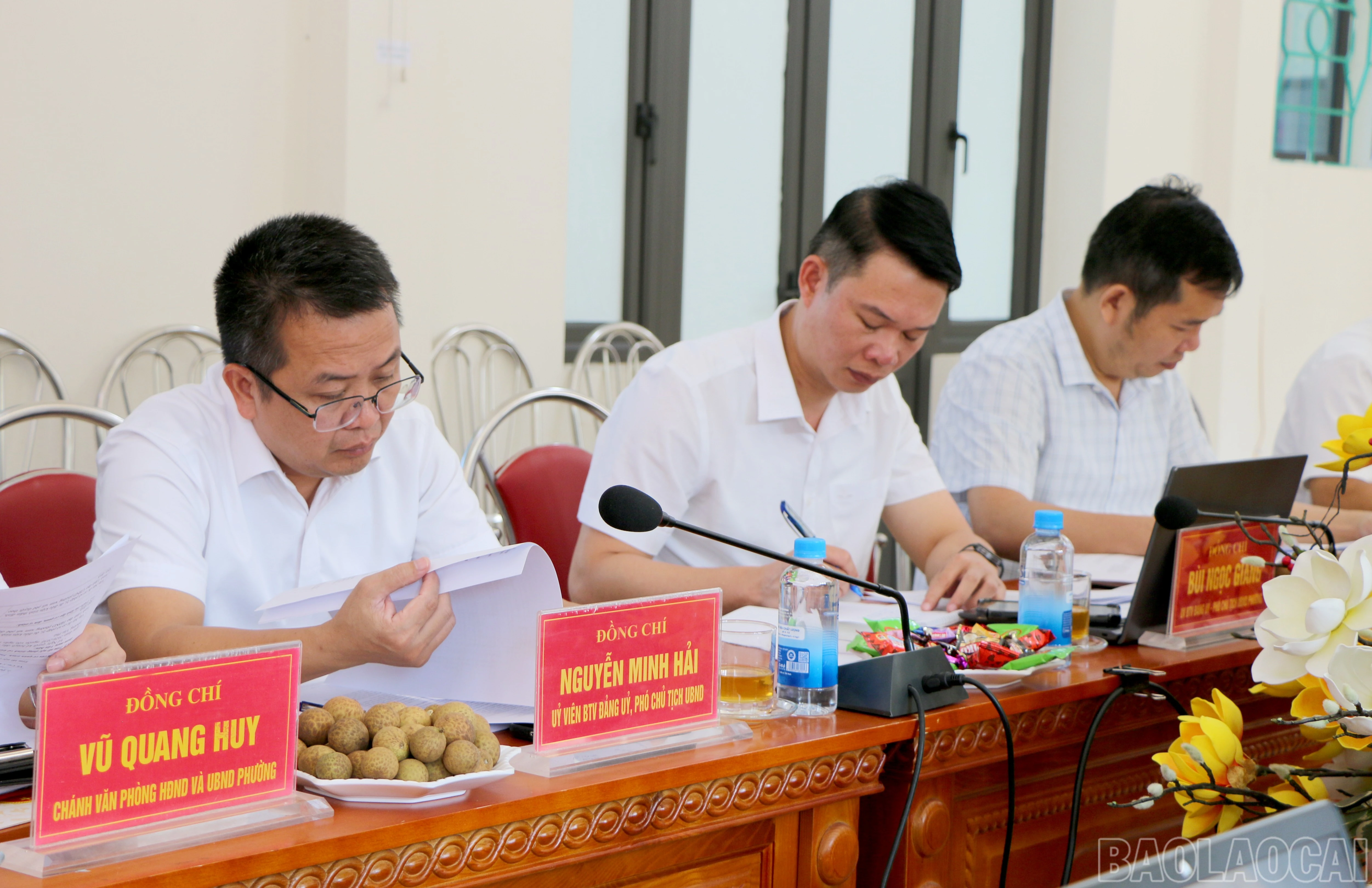 baolaocai-br_img-7025.jpg