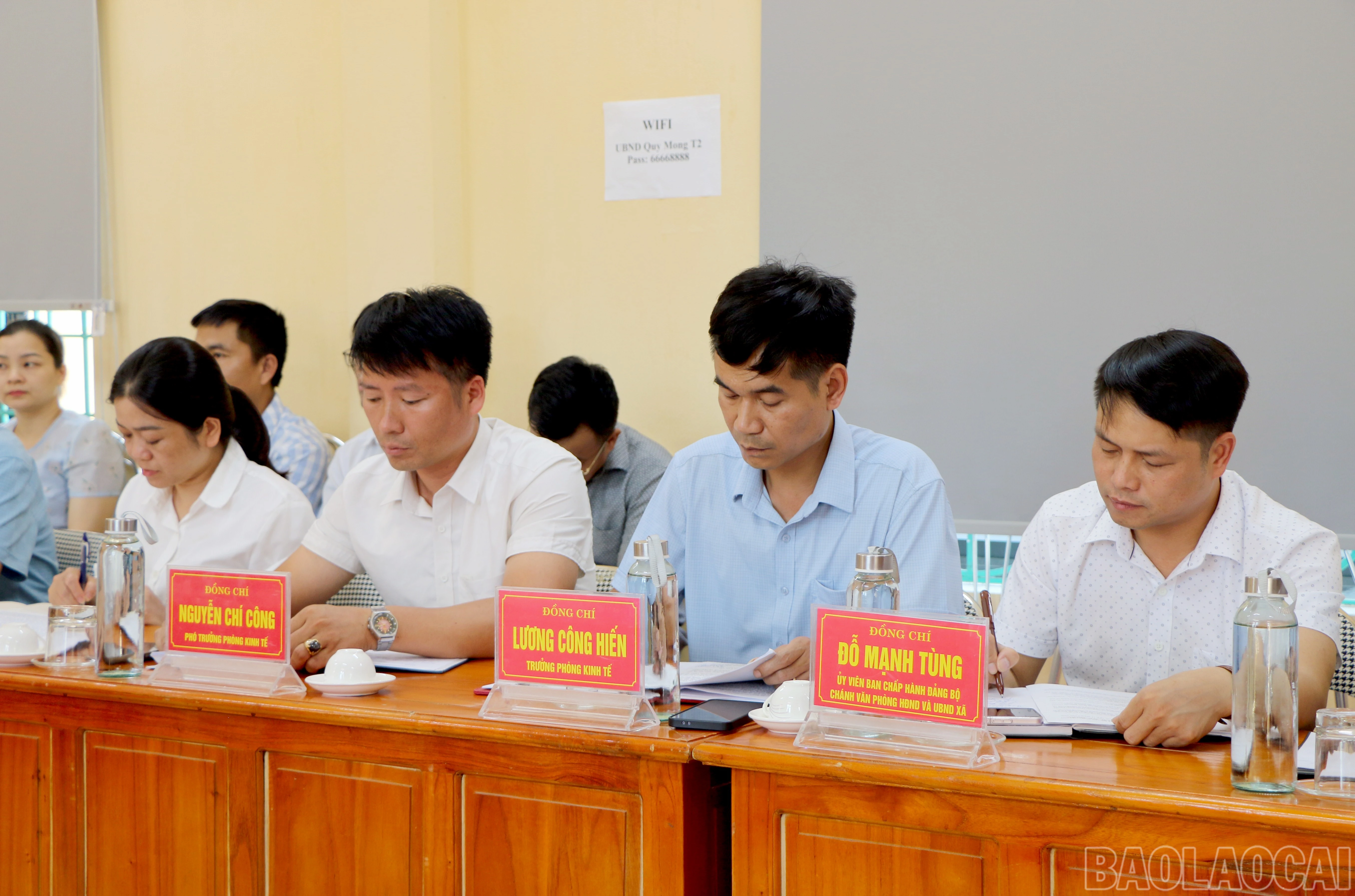 baolaocai-br_img-7088.jpg
