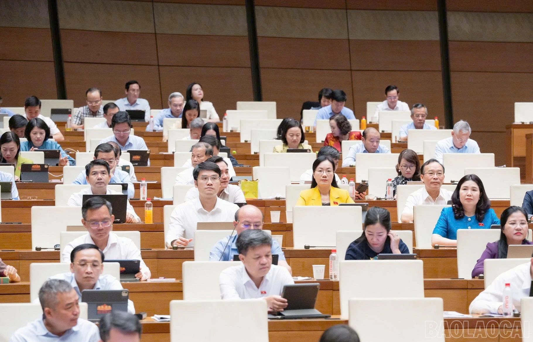 baolaocai-br_202608121035575117-z8143199123238-a270a5f0b118c9863e47b834ebe41fcd.jpg