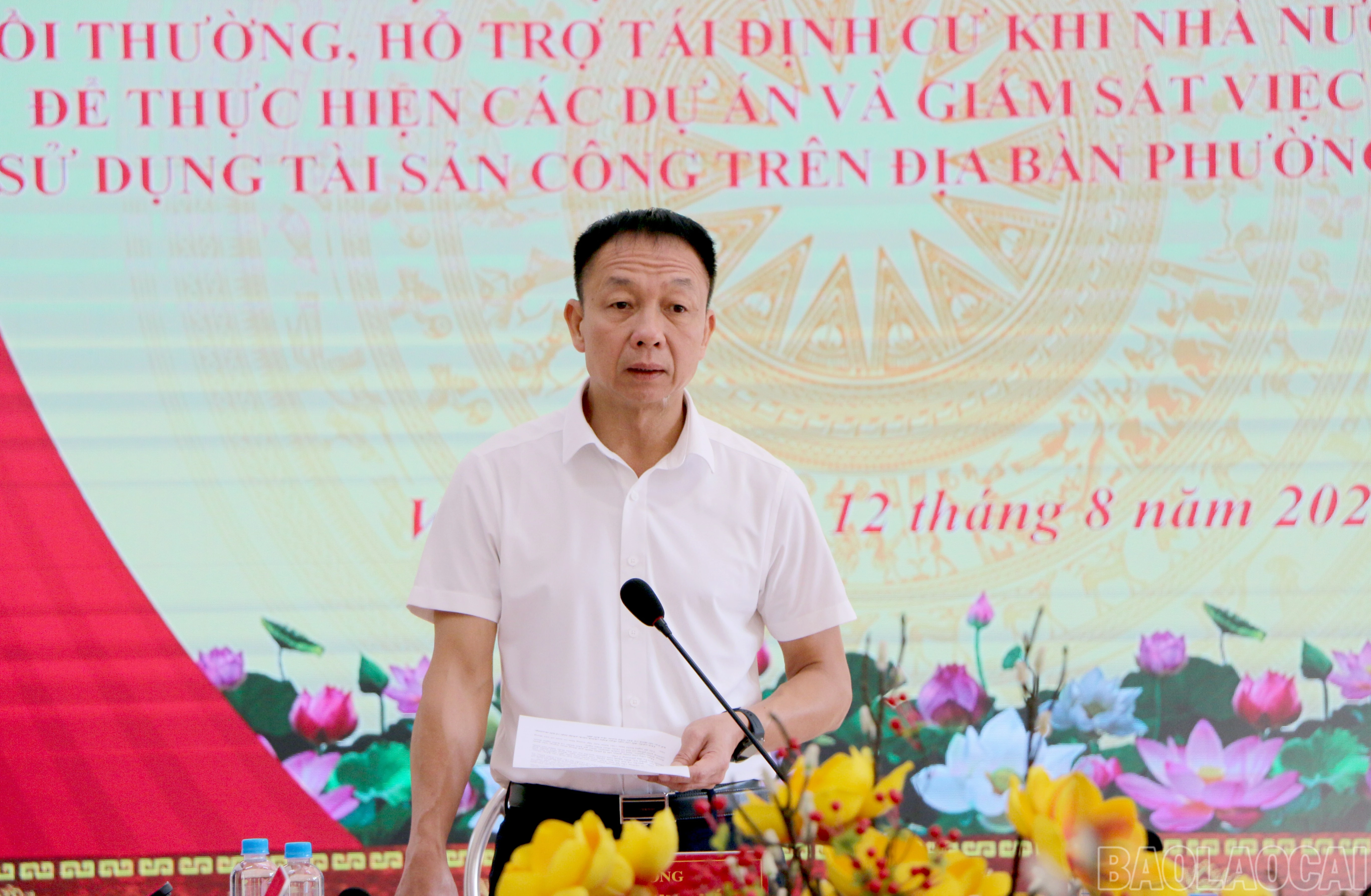 baolaocai-br_img-7011.jpg