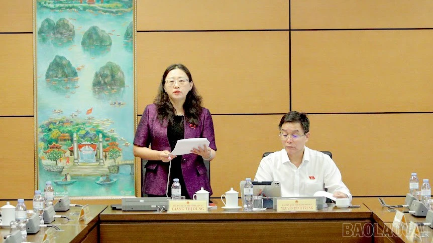 baolaocai-br_23.jpg