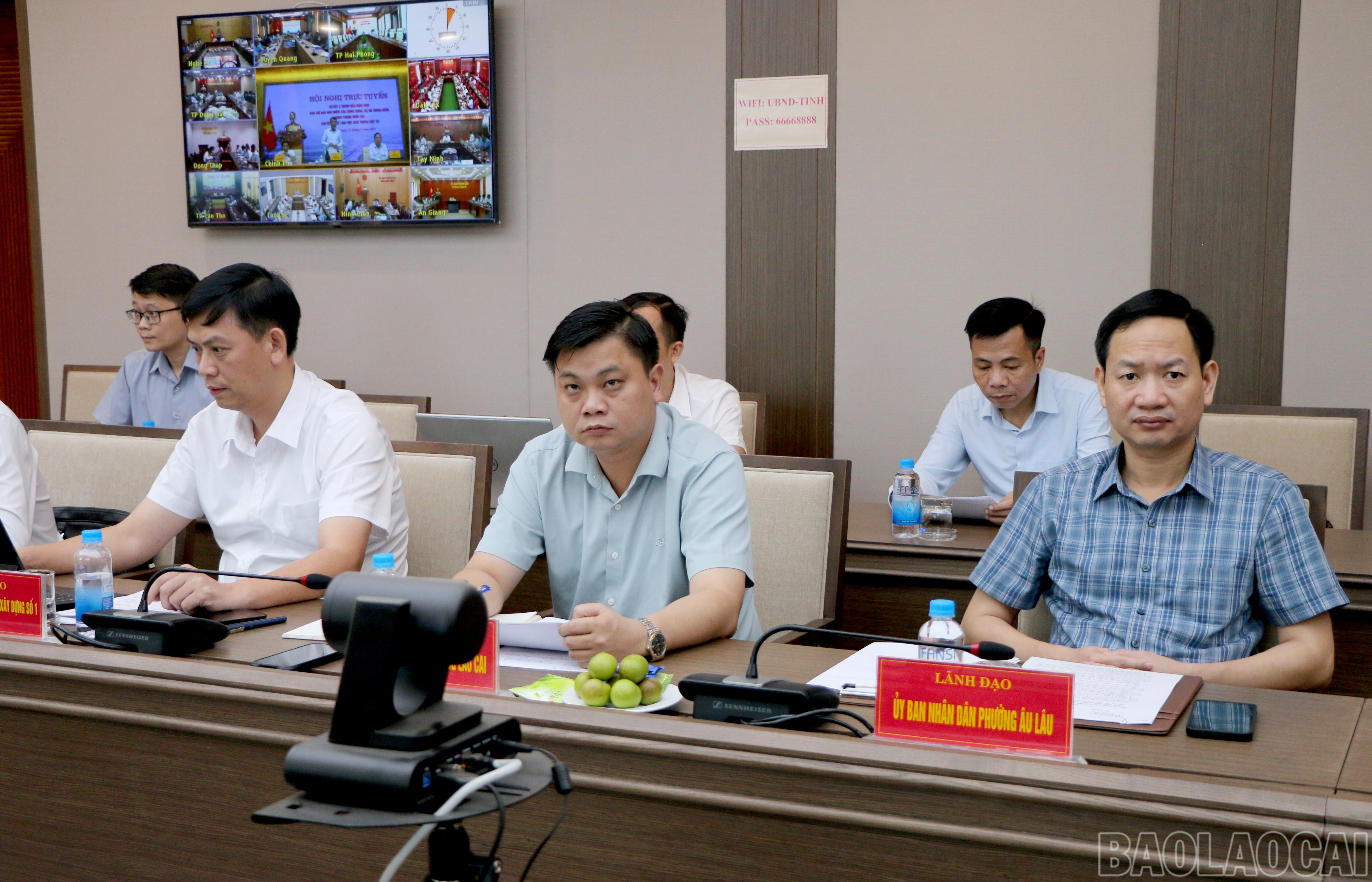 baolaocai-br_img-4377.jpg