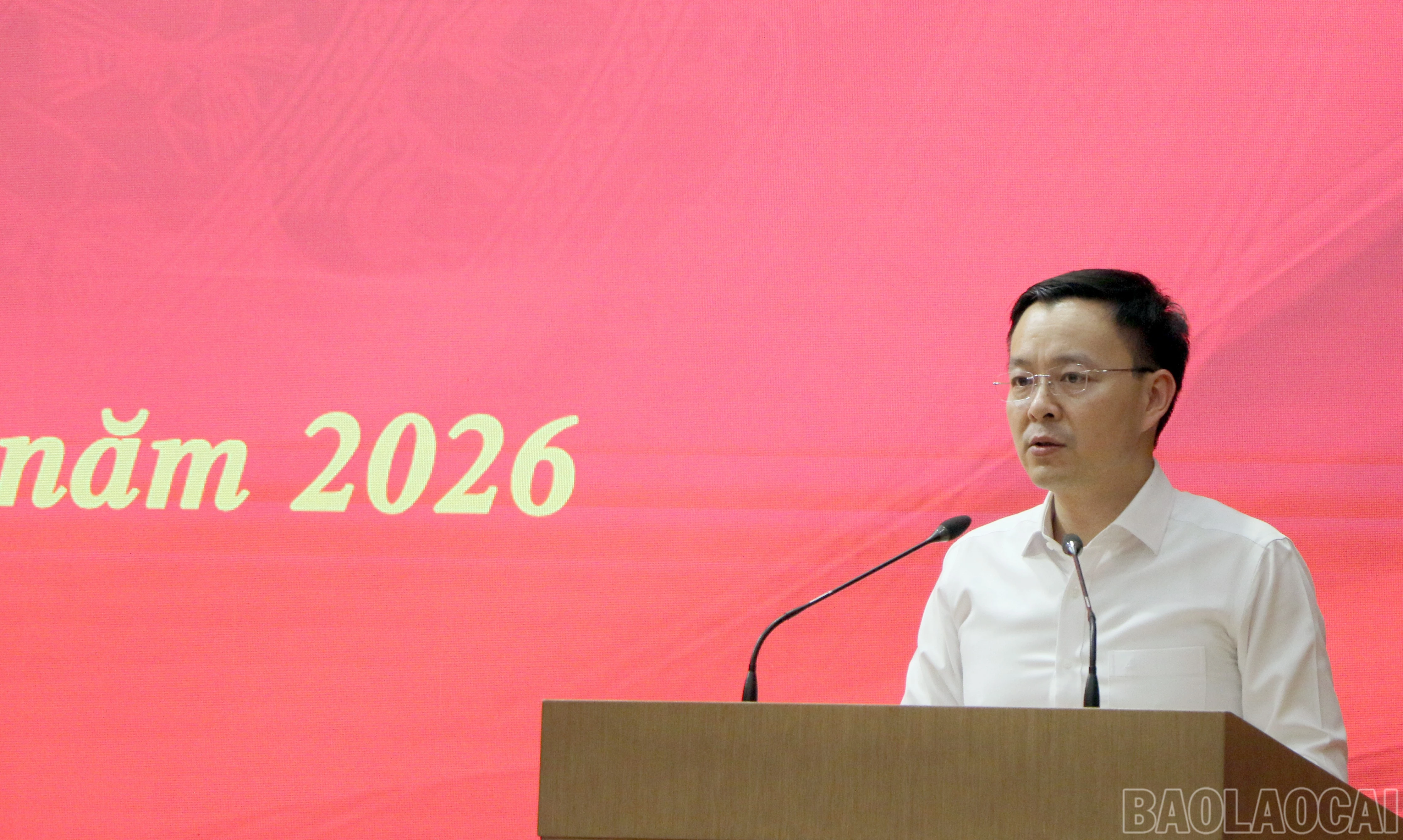 baolaocai-br_img-4600.jpg