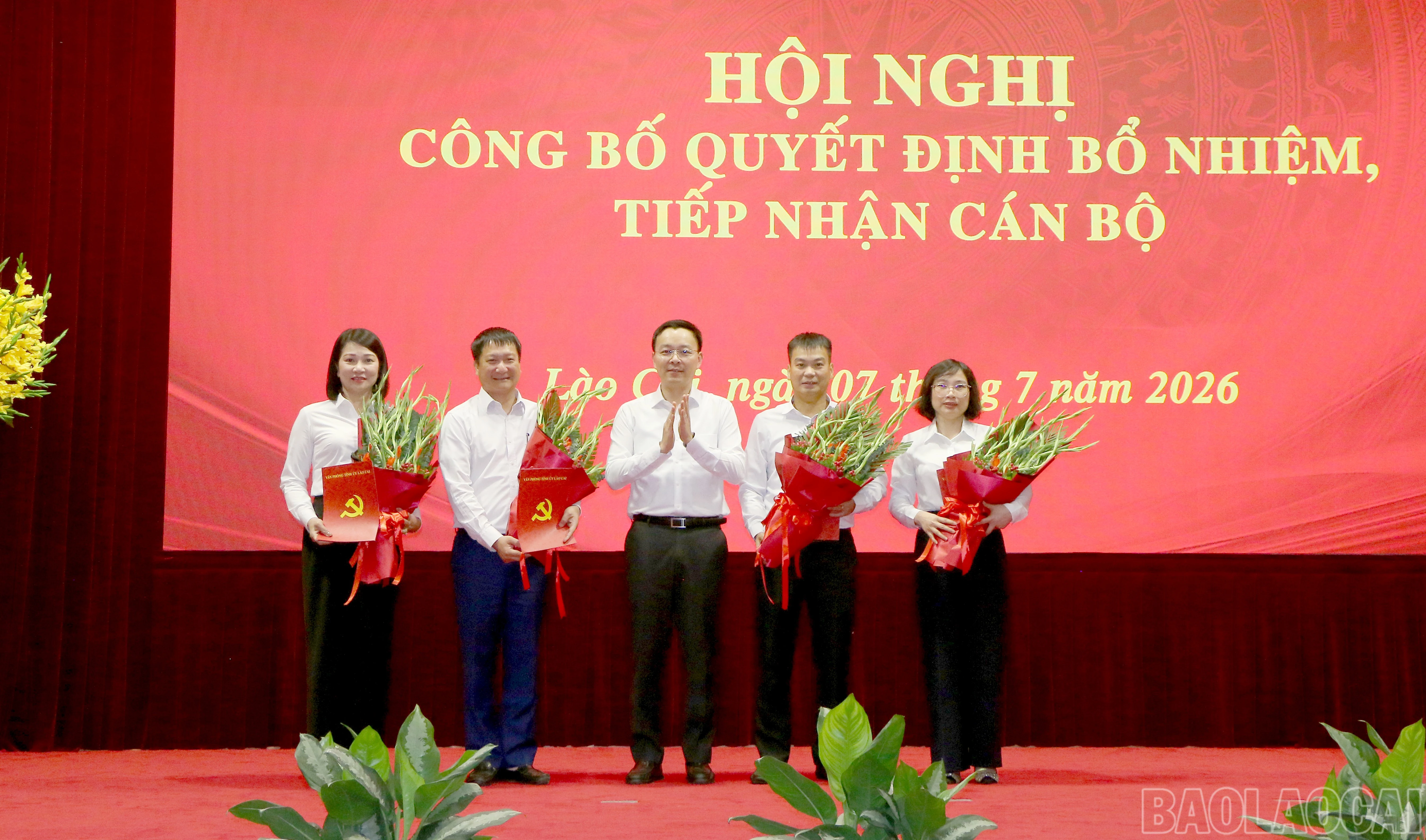 baolaocai-br_1.jpg