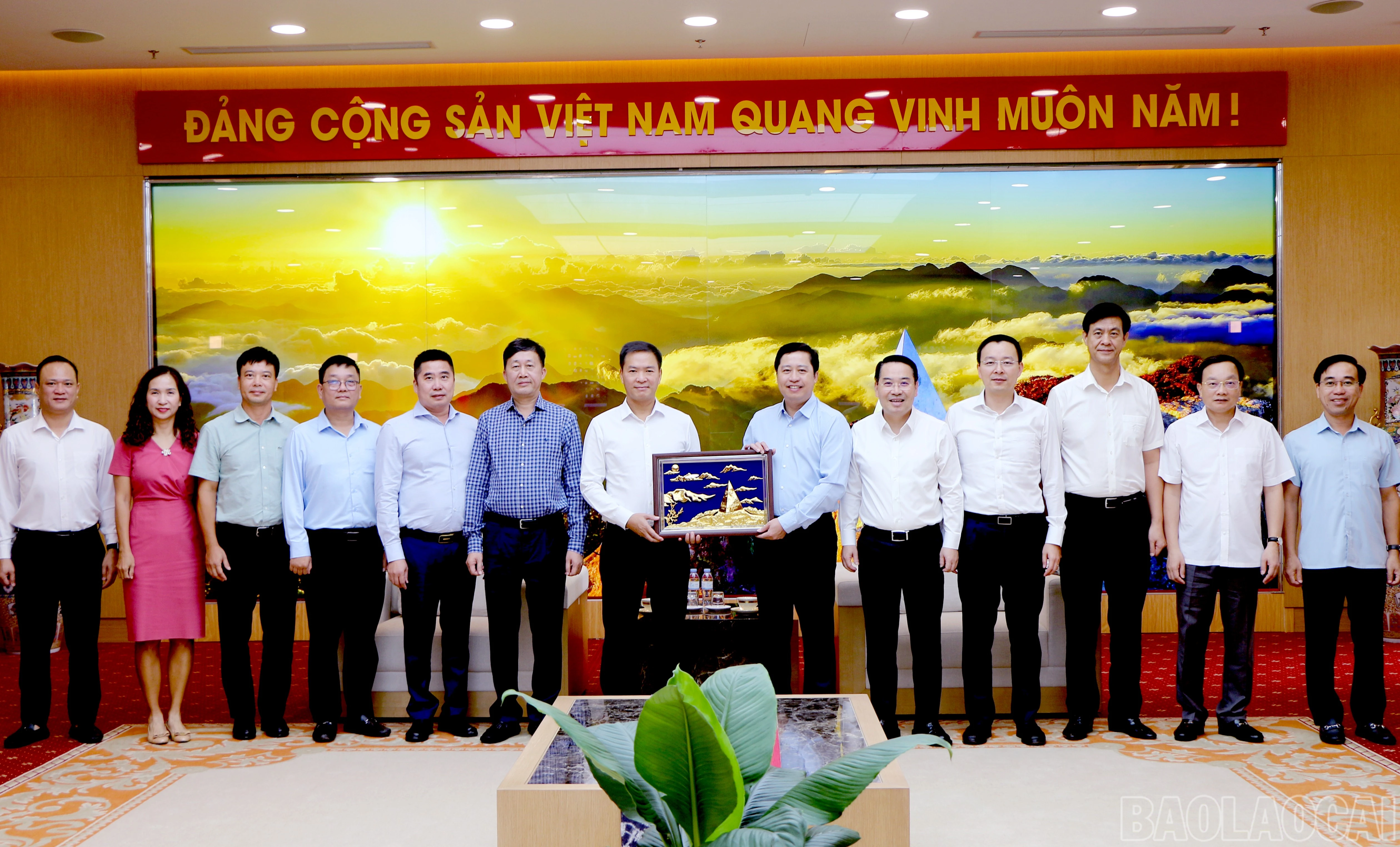 baolaocai-br_img-6948.jpg