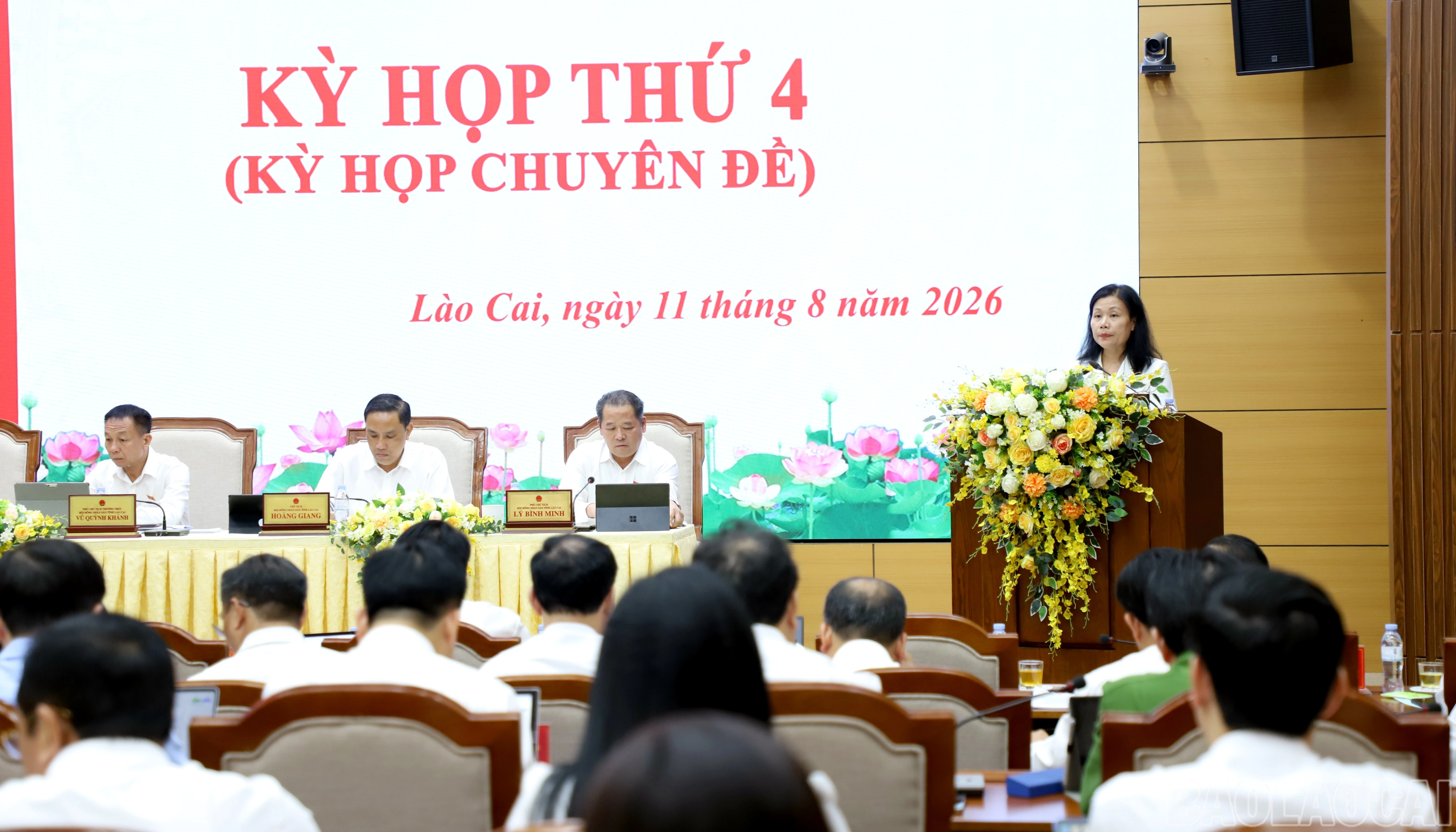 baolaocai-br_van.jpg