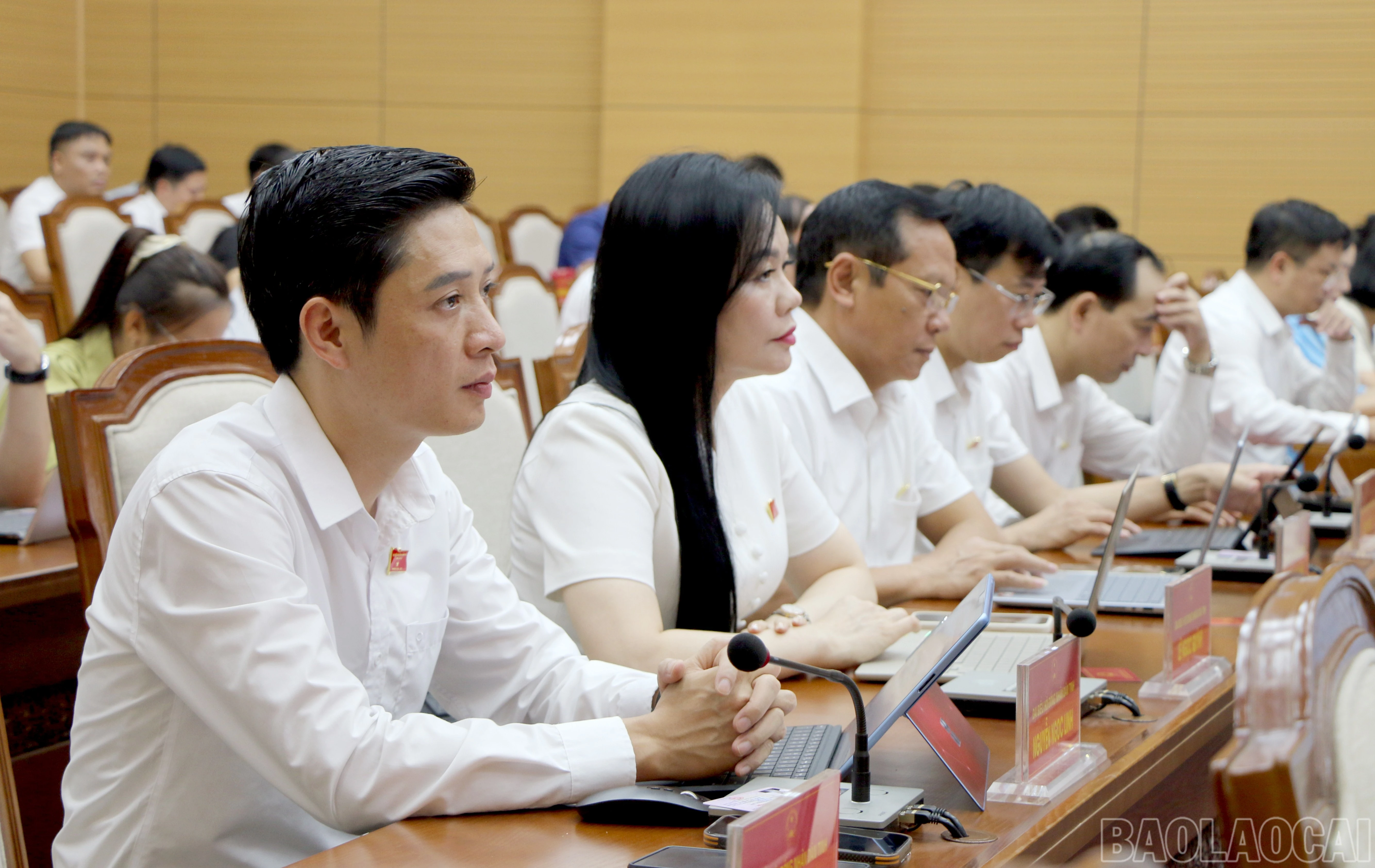 baolaocai-br_img-6961.jpg