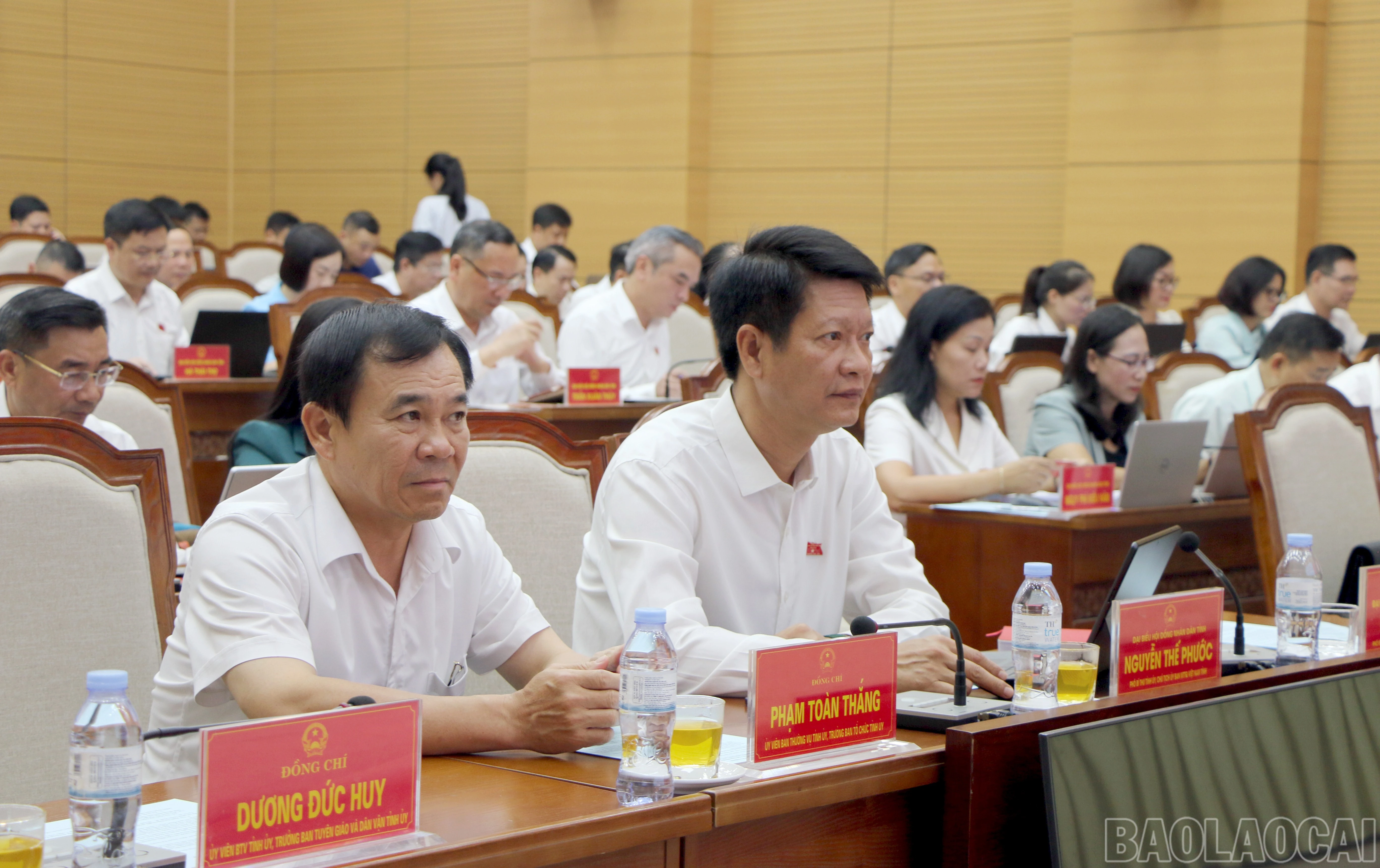 baolaocai-br_img-6958.jpg