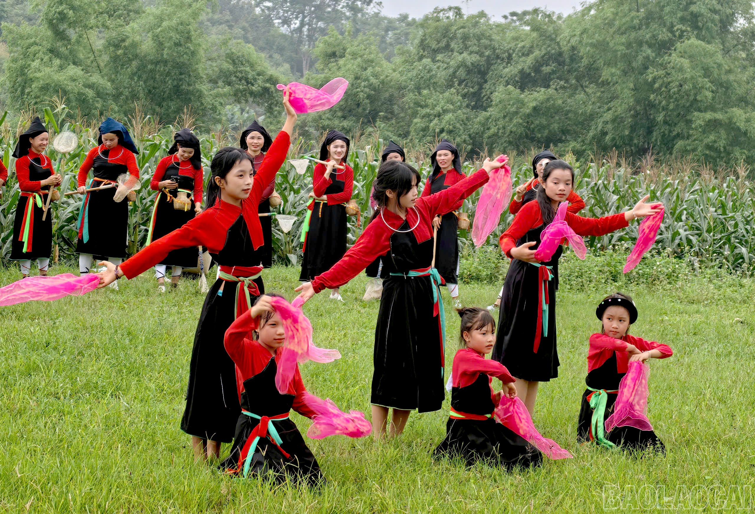 baolaocai-br_z6825393780798-654108645dc011369350fa6824343861.jpg