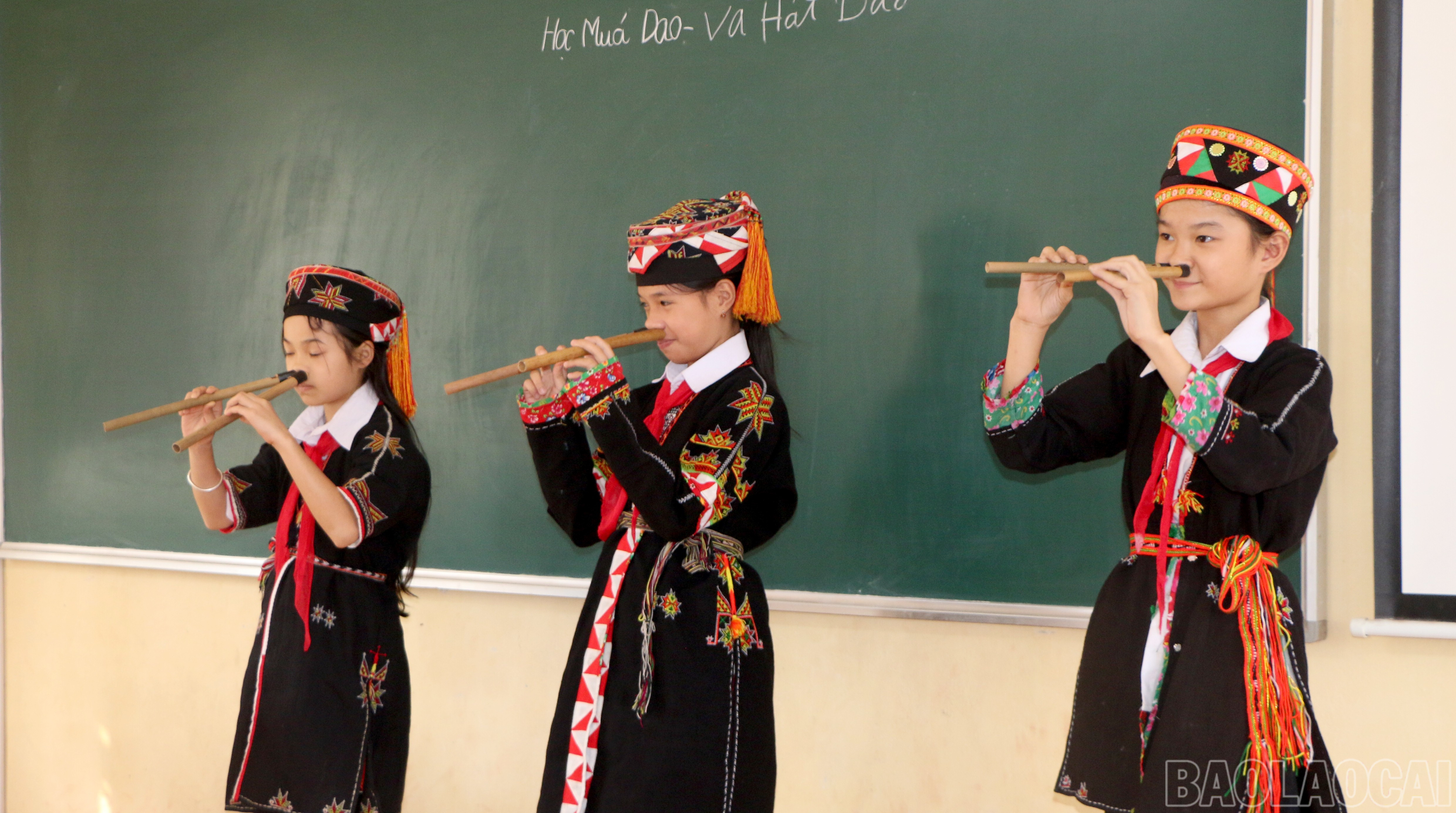 baolaocai-br_img-9269.jpg