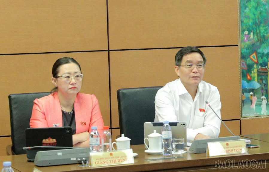 baolaocai-br_dbqh-nguyen-dinh-trung-tphue-phat-bieu-thao-luan-tai-to-4.jpg