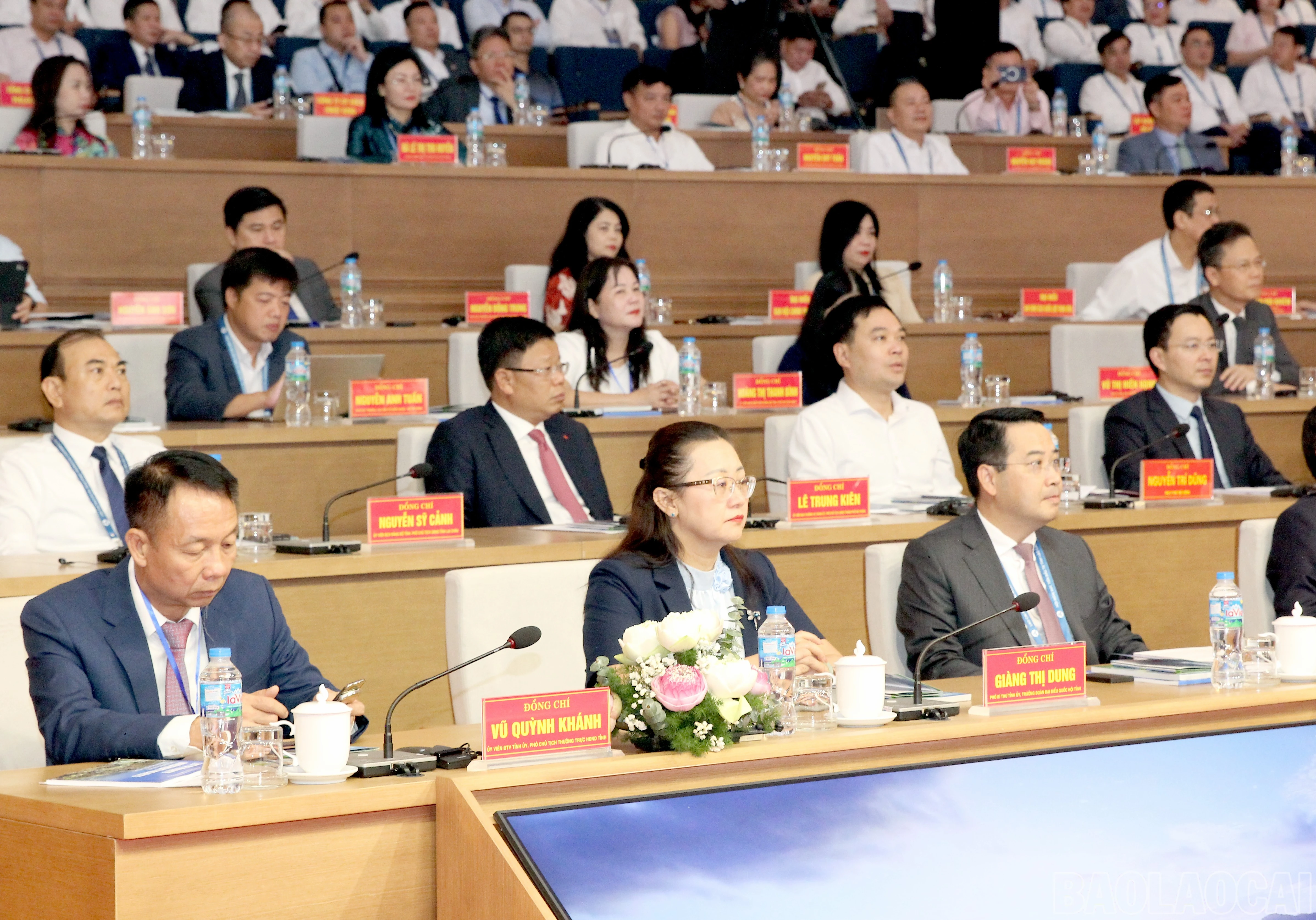 baolaocai-br_img-5897.jpg