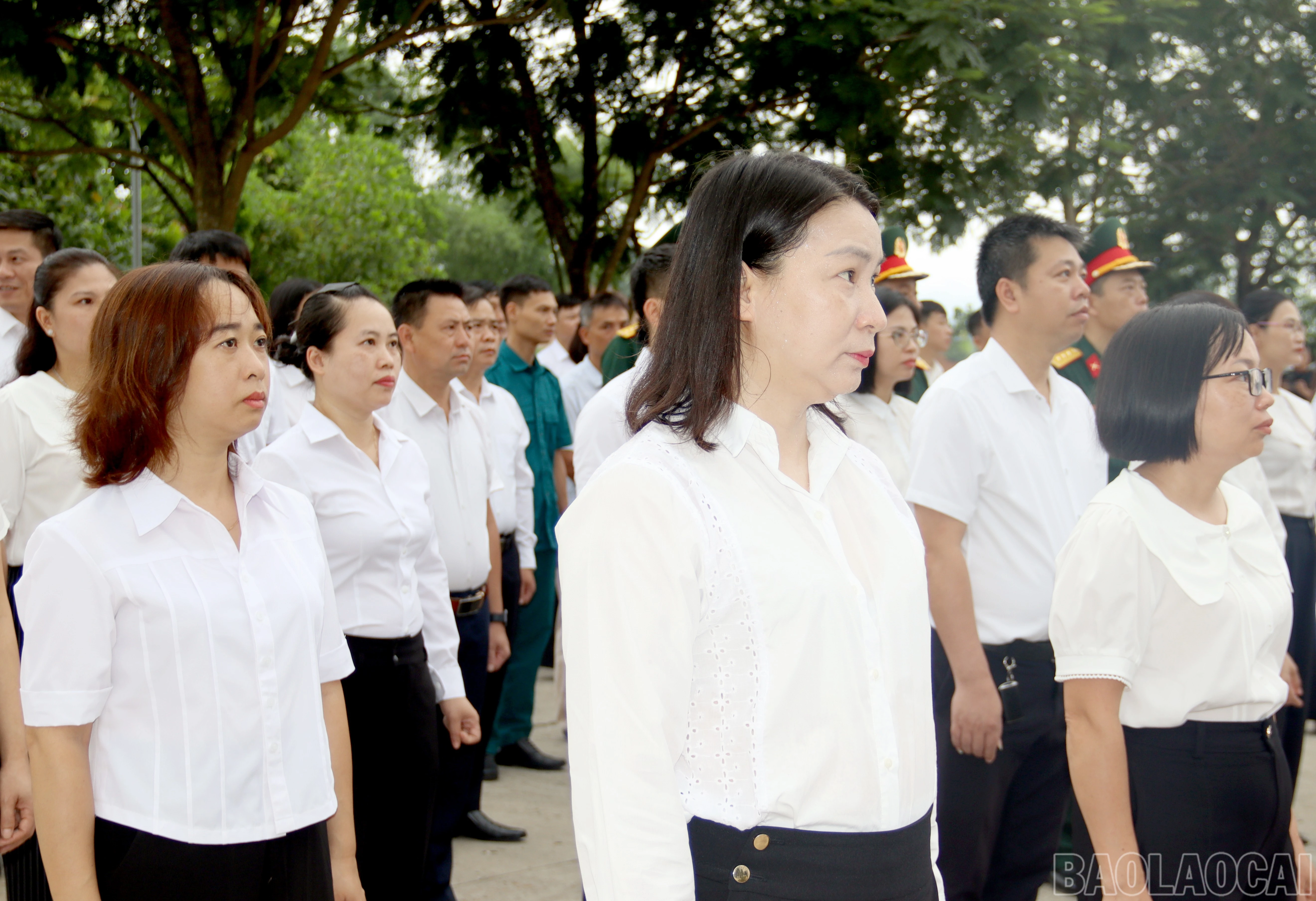 baolaocai-br_img-4616.jpg