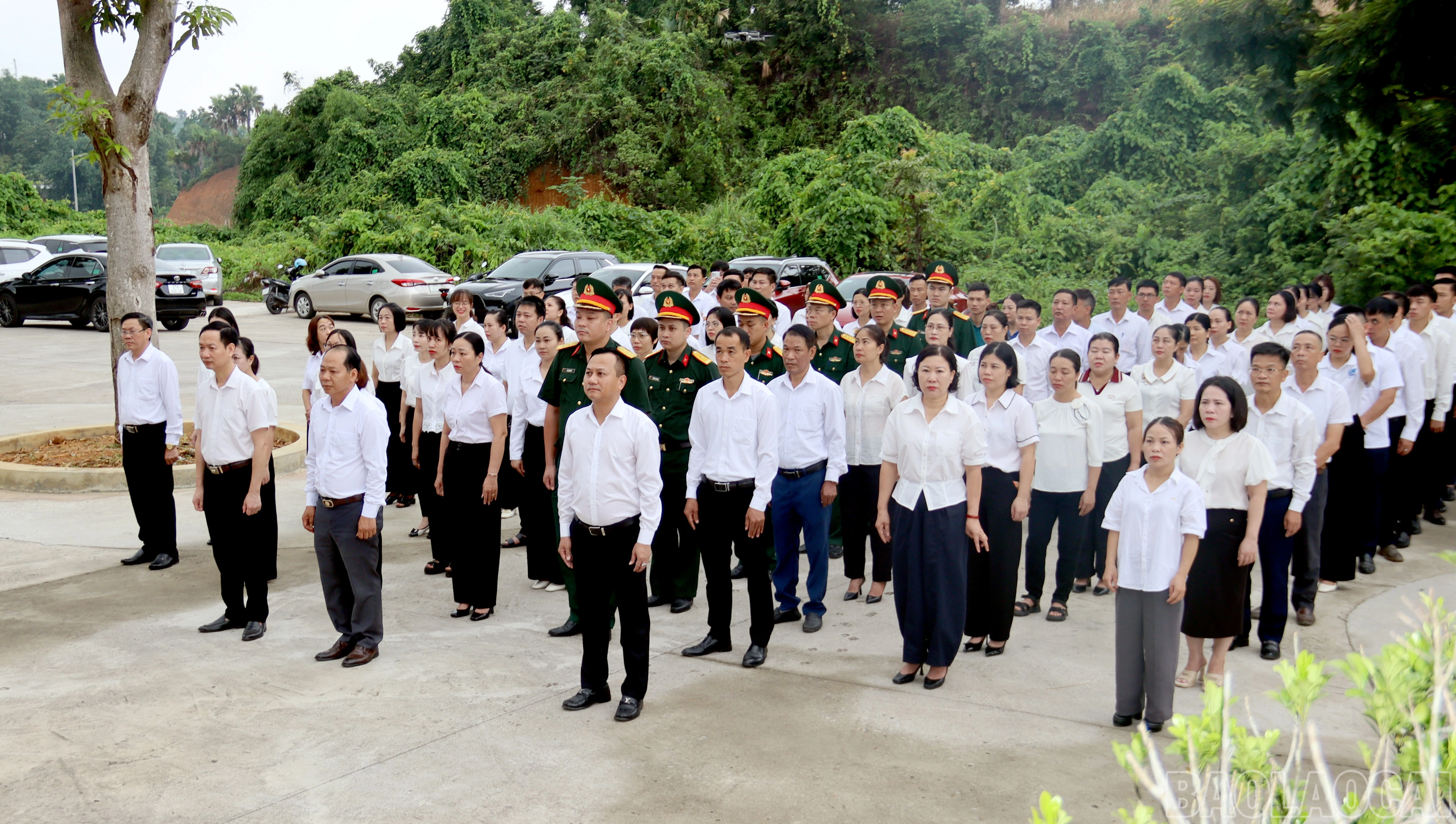 baolaocai-br_img-4624.jpg
