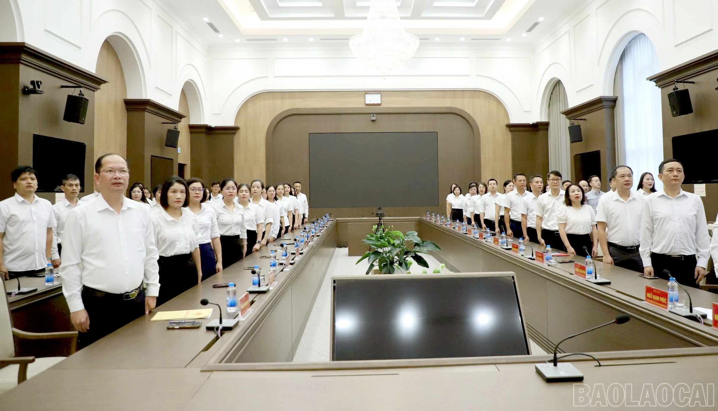 baolaocai-br_z8011530572382-125681f9d4cd217fe04a1ecab92e522d.jpg