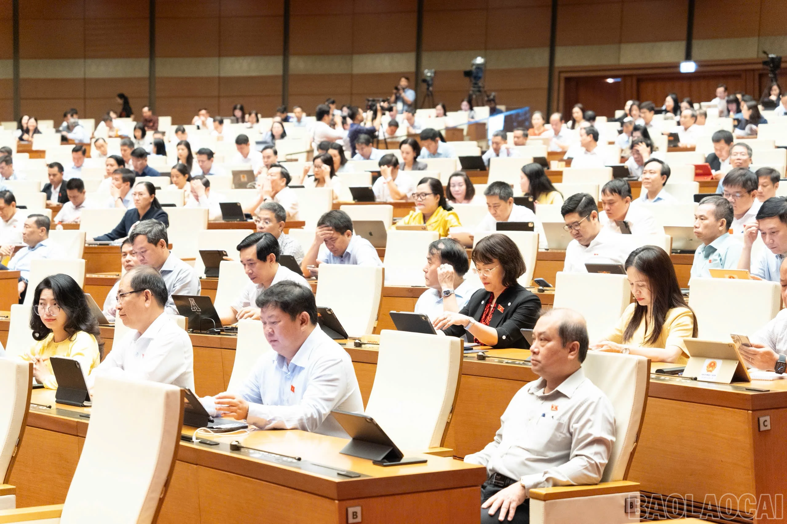 baolaocai-br_202608100815319914-z8134793501730-a5dcf50ecdcf0f2eabd35dd065dd4a34.jpg