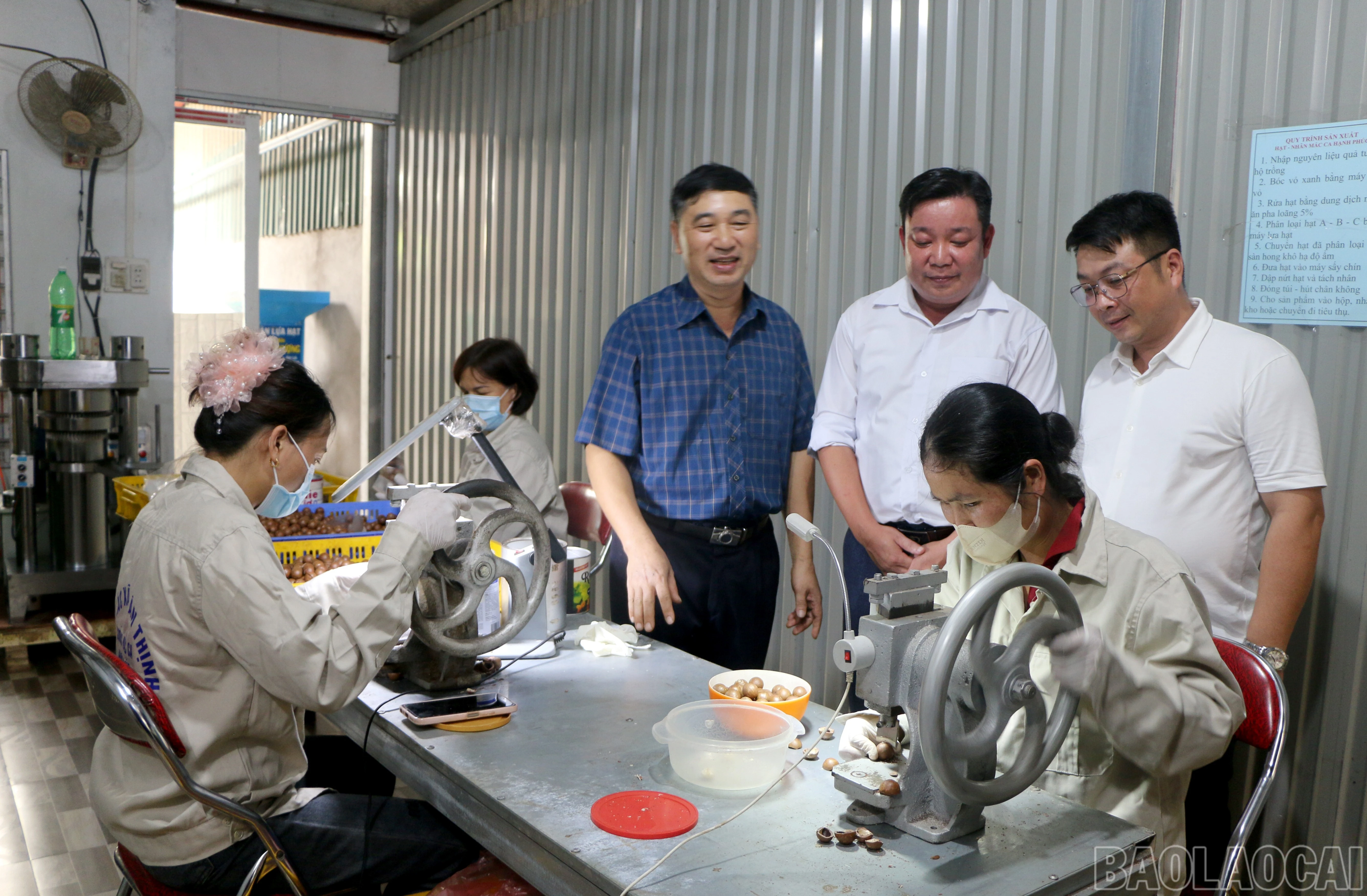baolaocai-br_img-0125.jpg