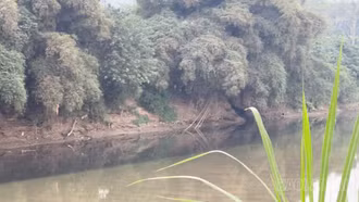 Gia Phú: Ô nhiễm môi trường từ cơ sở chăn nuôi