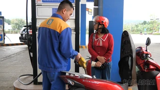 Giá xăng dầu tăng mạnh, nhiều lĩnh vực kinh tế chịu áp lực