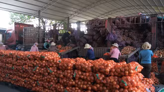 Vì sao nông sản nhập khẩu qua cửa khẩu Lào Cai tăng mạnh?